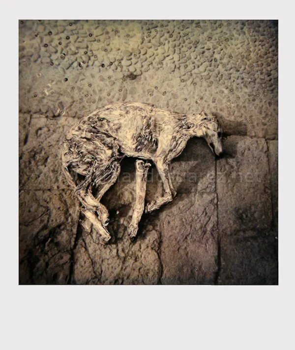 Archivo / Polaroid photography